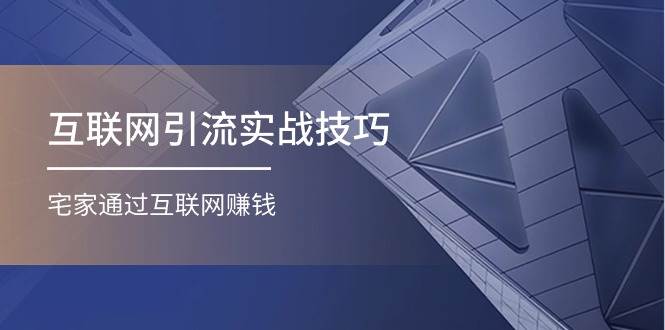 互联网引流实操技巧(适合微商，吸引宝妈)，宅家通过互联网赚钱（17节）-春生副业网 