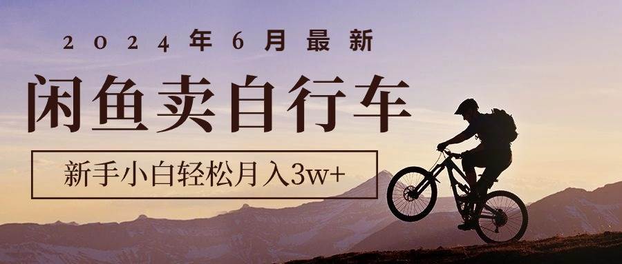 2024年6月最新闲鱼卖自行车，新手小白轻松月入3w+项目-春生副业网 