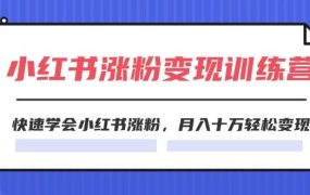 2024小红书涨粉变现训练营，快速学会小红书涨粉，月入十万轻松变现(40节)-春生副业网 