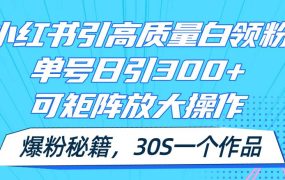 小红书引高质量白领粉,单号日引300+,可放大操作,爆粉秘籍!30s一个作品-春生副业网