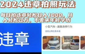 2024违章拍照新玩法，推广躺赚+拍照赚钱双模式，日入1000+-春生副业网 