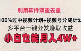利用软件双重去重，100%过中视频+视频号分成计划小白也可以月入4W+-春生副业网 