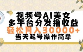 视频号AI美女，轻松月入30000+,操作简单轻松上手-春生副业网 