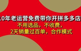 拼多多 最新合作开店日收4000+两天销量过百单,无学费、老运营代操作、...-春生副业网