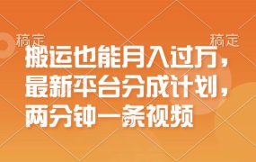 搬运也能月入过万，最新平台分成计划，一万播放一百米，一分钟一个作品-春生副业网 