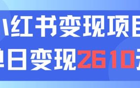 利用小红书卖资料单日引流150人当日变现2610元小白可实操（教程+资料）-春生副业网 