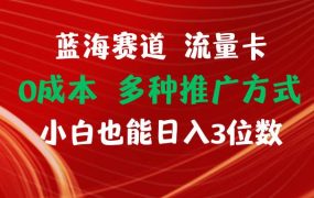 蓝海赛道 流量卡 0成本 小白也能日入三位数-春生副业网 