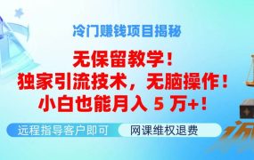 冷门赚钱项目无保留教学！独家引流技术，无脑操作！小白也能月入5万+！-春生副业网 