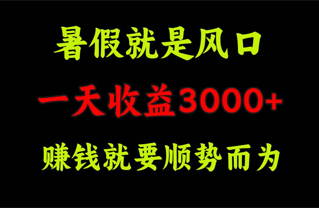 一天收益3000+ 赚钱就是顺势而为，暑假就是风口-春生副业网 