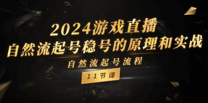 2024游戏直播-自然流起号稳号的原理和实战，自然流起号流程（11节）-春生副业网 