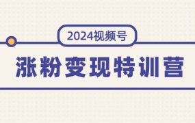 2024视频号-涨粉变现特训营:一站式打造稳定视频号涨粉变现模式(10节)-春生副业网