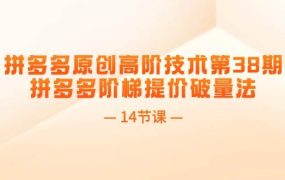 拼多多原创高阶技术第38期，拼多多阶梯提价破量法（14节课）-春生副业网 