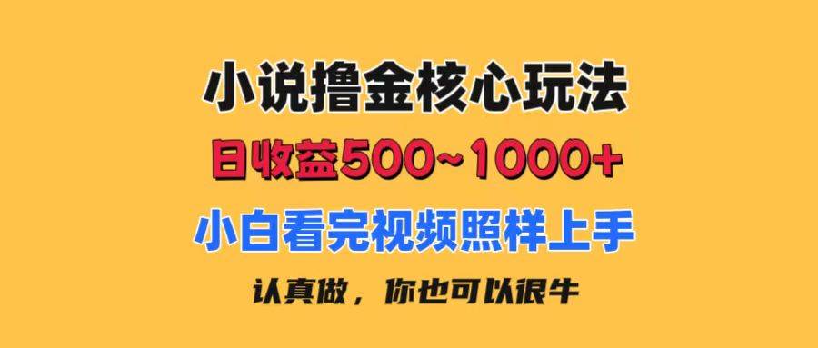 小说撸金核心玩法，日收益500-1000+，小白看完照样上手，0成本有手就行-春生副业网 