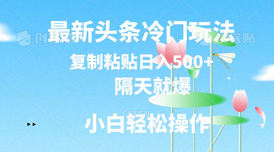 最新头条冷门玩法，隔天就爆，复制粘贴日入500+-春生副业网 