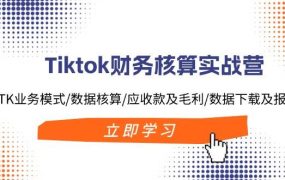 Tiktok财务核算实战营：TK业务模式/数据核算/应收款及毛利/数据下载及报表-春生副业网 