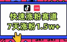 涨粉超快蓝海赛道！轻松伪原创，7天涨粉1.5w+-春生副业网 