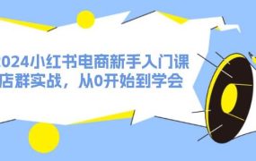 2024小红书电商新手入门课,店群实战,从0开始到学会(31节)-春生副业网