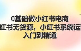 0基础做小红书电商，小红书无货源，小红书系统运营，入门到精通 (70节)-春生副业网 