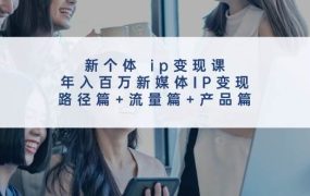 新个体 ip变现课，年入百万新媒体IP变现，路径篇+流量篇+产品篇-春生副业网 
