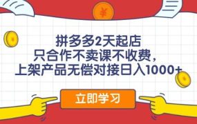 拼多多2天起店,只合作不卖课不收费,上架产品无偿对接日入1000+-春生副业网