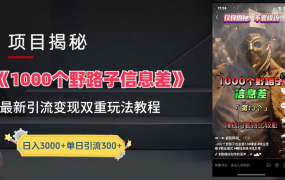 抖音一千个野路子信息差最新玩法教程-变现＋引流的玩法具体拆解-春生副业网 