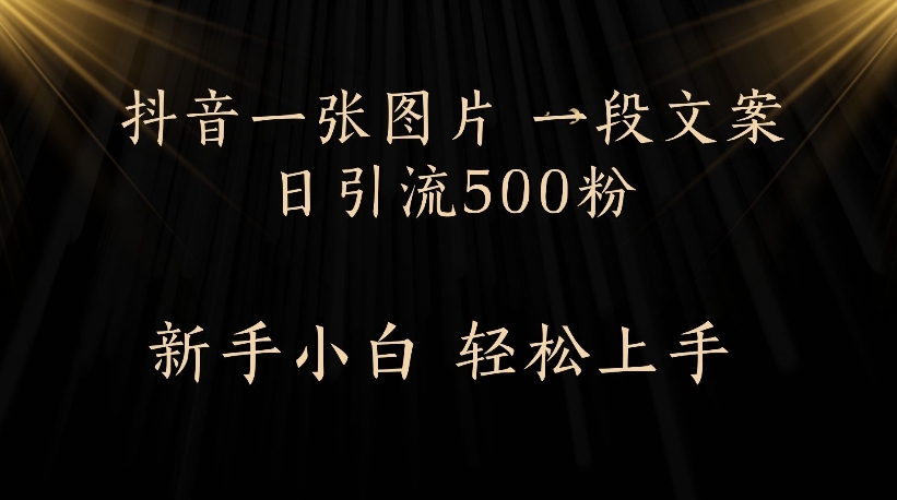 抖音一张图片，一段文案日引流500粉，新手小白 轻松上手-春生副业网 