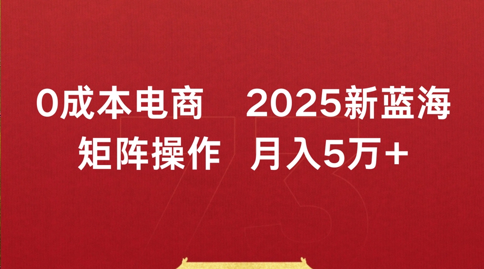 0成本电商2025新蓝海矩阵操作 月入5万+-春生副业网