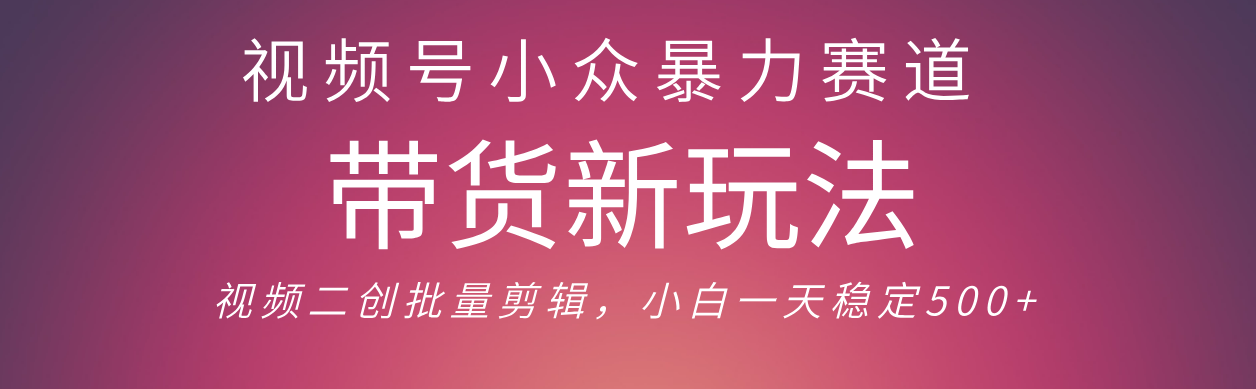 视频号小众暴力赛道，最新带货玩法 小白也能轻松日入500+ 保姆及教程-春生副业网 