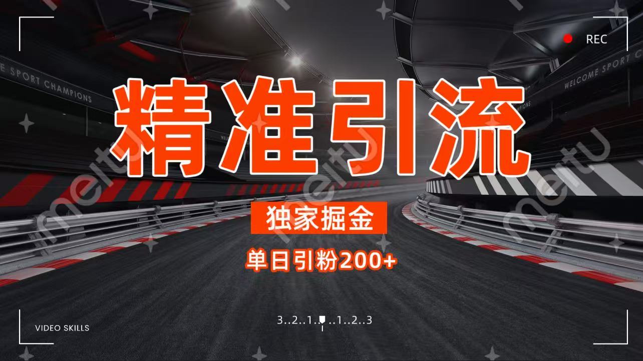独家野路子精准引流 每日200+-春生副业网 